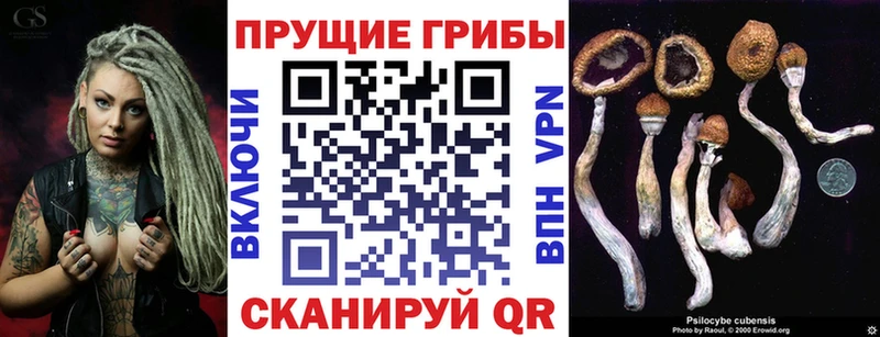 Галлюциногенные грибы Cubensis  Тбилисская 